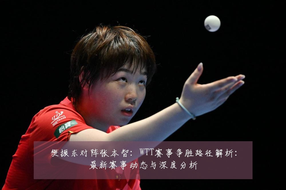 樊振东对阵张本智:WTT赛事争胜路径解析:最新赛事动态与深度分析